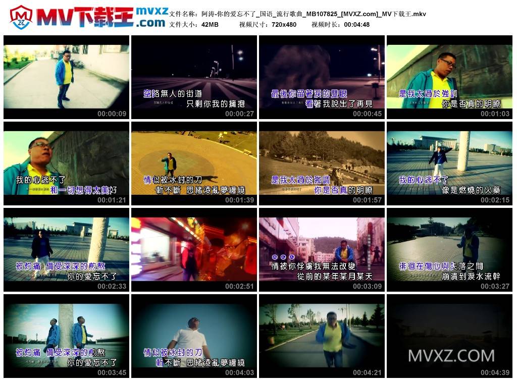 阿涛-你的爱忘不了_国语_流行歌曲_MB107825